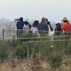 Students observing the wetlands during an outdoor learning experience at Elkhorn Slough